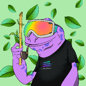 Frog #8465