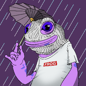 Frog #6847