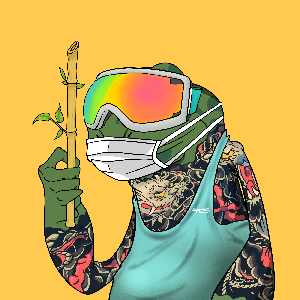 Frog #4697