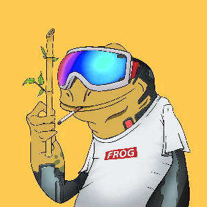 Frog #467