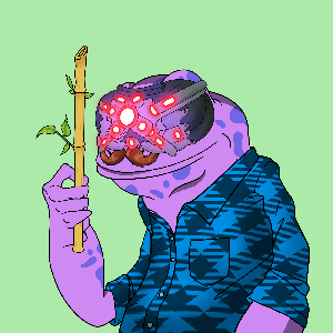Frog #8104
