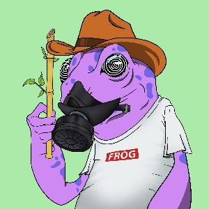 Frog #2537