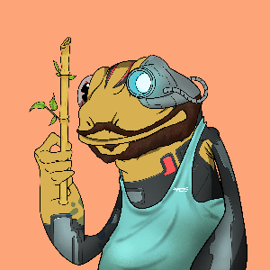 Frog #1283